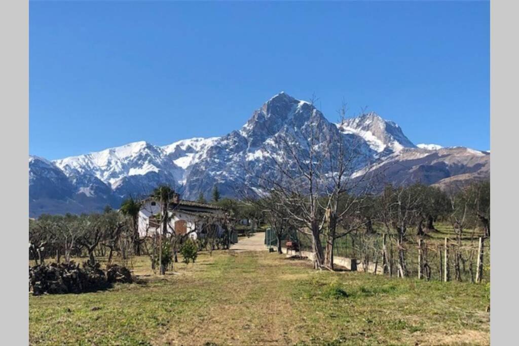 La Casetta Di Trignano Isola del Gran Sasso dʼItalia Dış mekan fotoğraf
